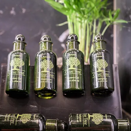 Avra Milos Πανσιόν 4*